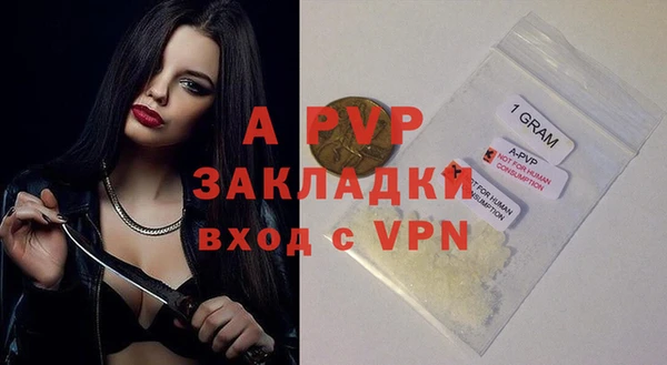 крисы Володарск