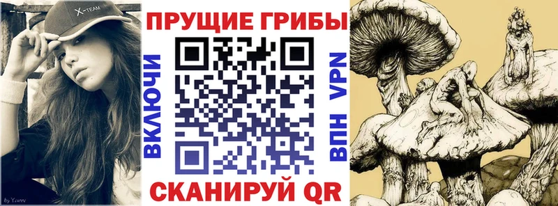 Купить где  Надым  Псилоцибиновые грибы Magic Shrooms 